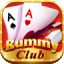 rummy king 41 bonus logo