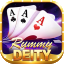 rummy cards game logo