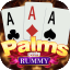 rummy noble 41 bonus